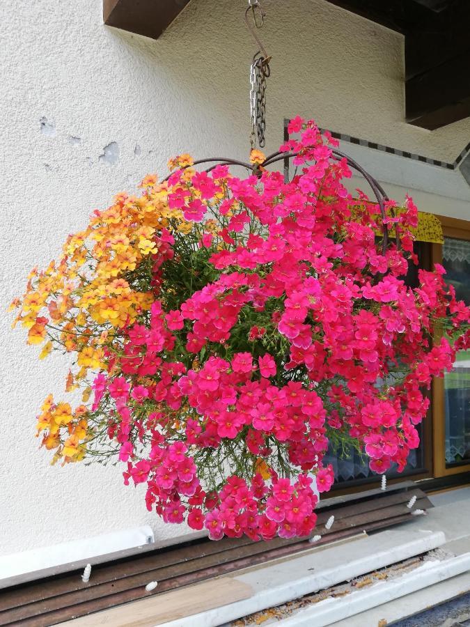 מלון Neukirchen am Großvenediger Haus Seppi מראה חיצוני תמונה